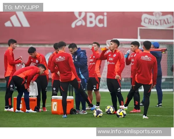 智利足球的辉煌历史与未来展望：从传奇球员到国家队的崛起之路